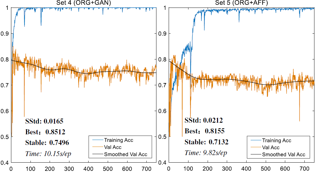 Training accuracy and validation accuracy for training datasets