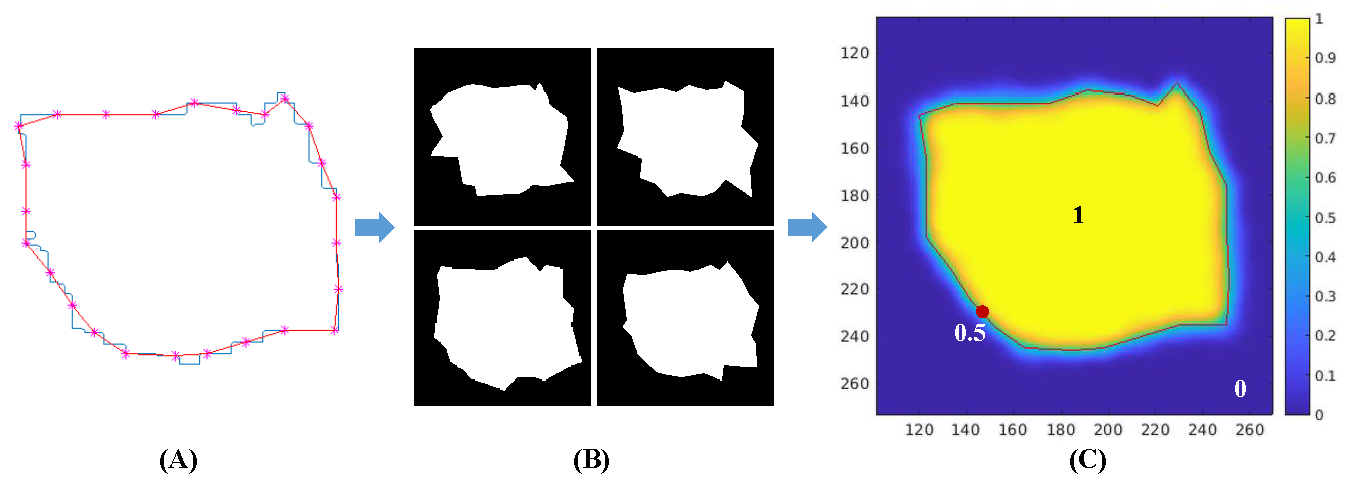 Synthetic segmentation contours and the convergence to their seed polygon shape.